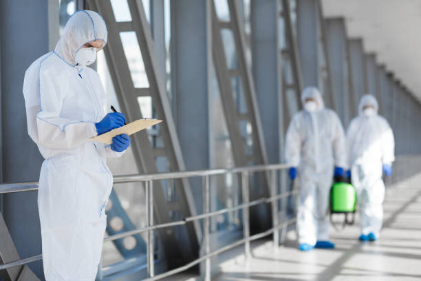 Best Mold Removal for HVAC Installations  in Avila Beach, CA