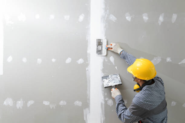Best Mold-Related Health Consultation  in Avila Beach, CA