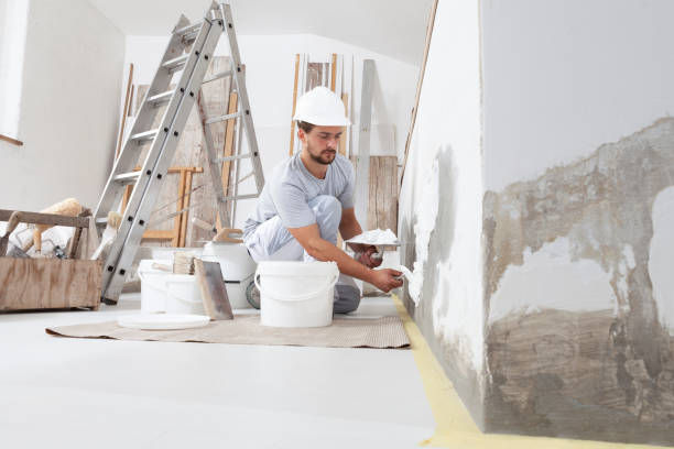 Best Crawl Space Mold Remediation  in Avila Beach, CA
