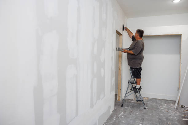 Best Post-Construction Mold Inspection  in Avila Beach, CA