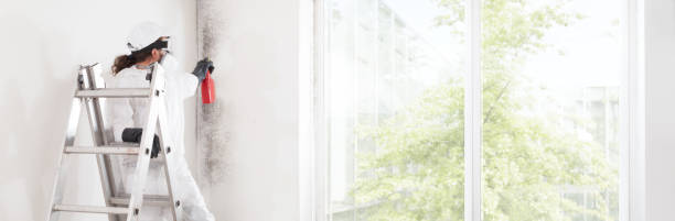 Mold Remediation for Rental Properties in Avila Beach, CA